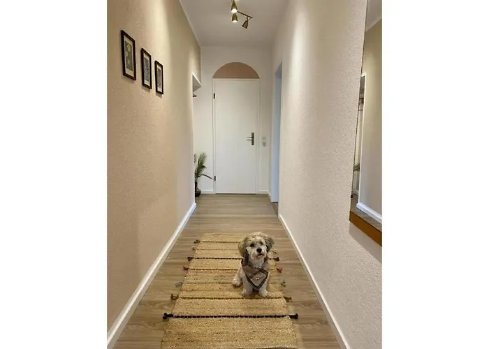 Апартаменты Raspel *